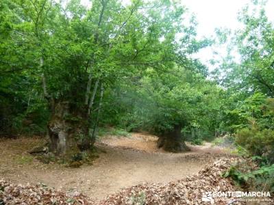 Sierra del Caurel:Courel; Lugo_Galicia; foro senderismo rutas semana santa viajes valle del jerte en